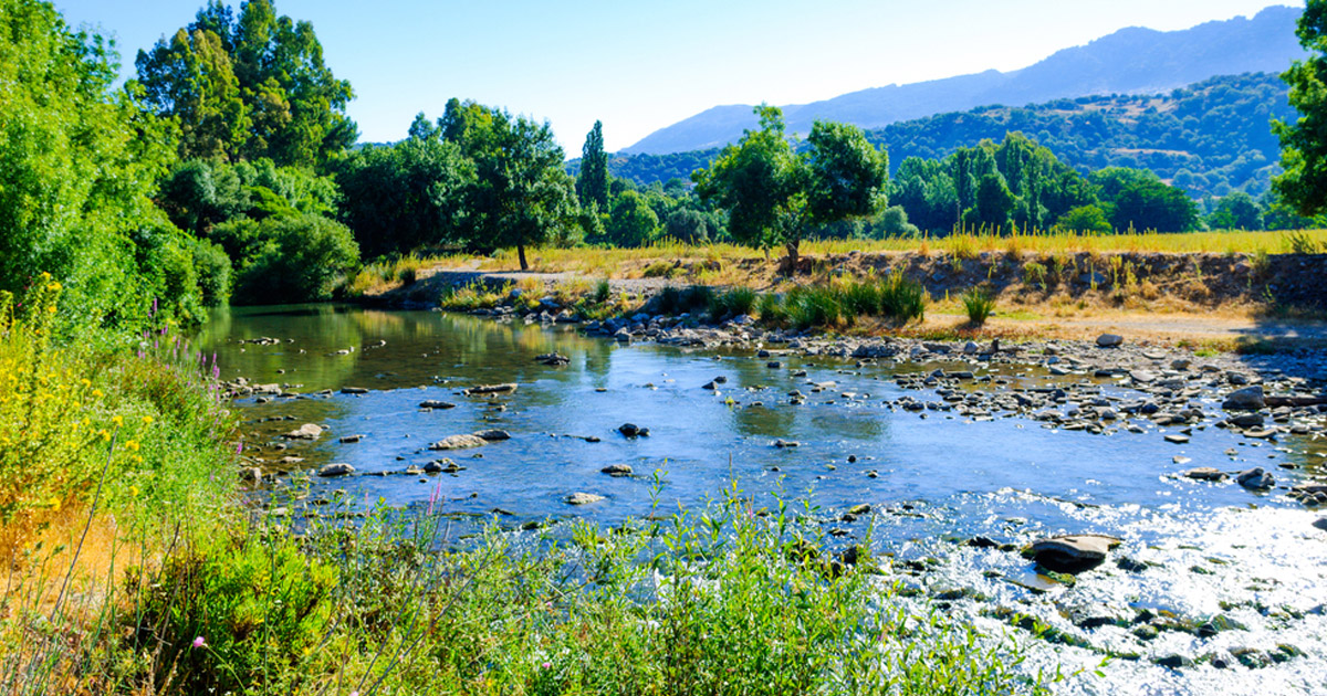 Parque Natural de los Alcornocales