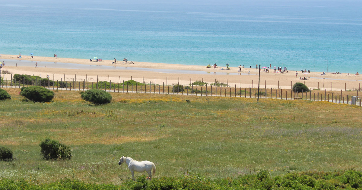 Playa de Bolonia en Tarifa