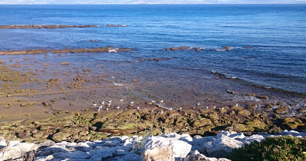 Flysch de Tarifa, el desconocido paraíso geológico del sur
