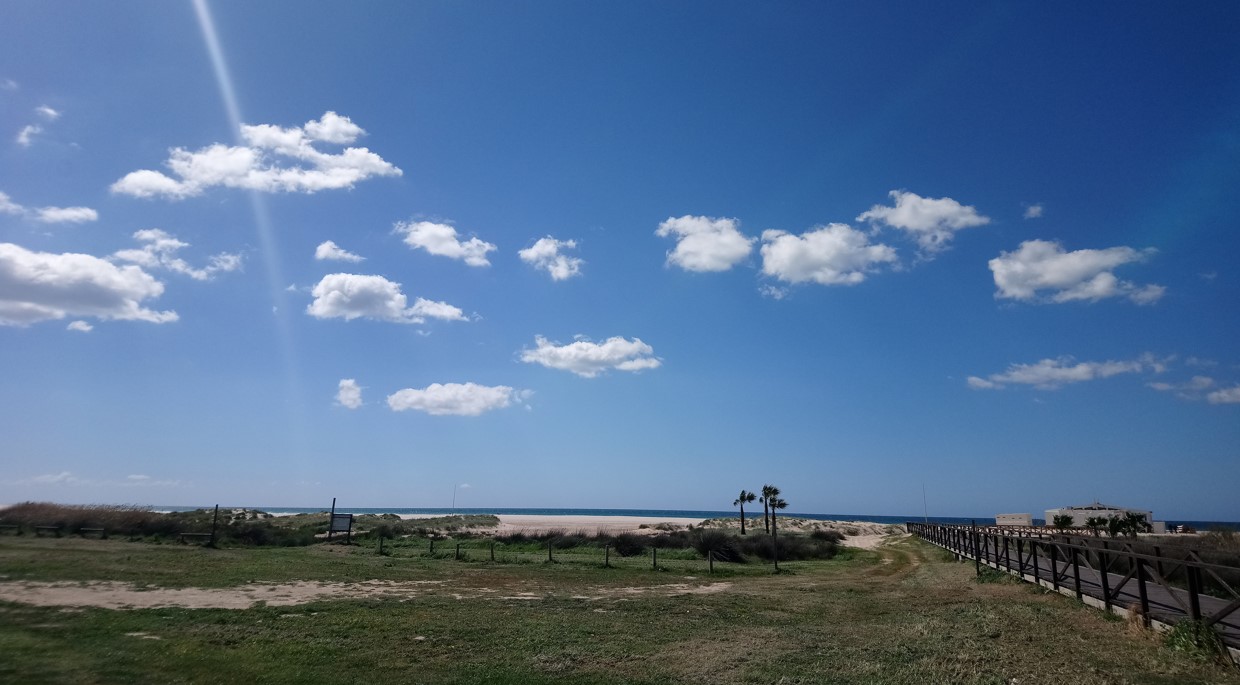 Freetour en Conil de la Frontera: Qué ver y hacer